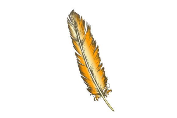 Color Decorative Bird Element Feather