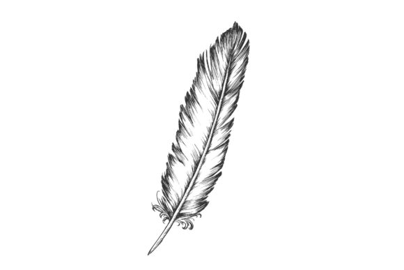 Decorative Bird Element Feather for Design Projects