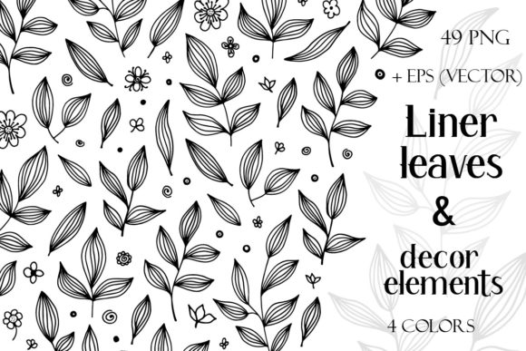 Hand Drawn Leaves and Décor Elements