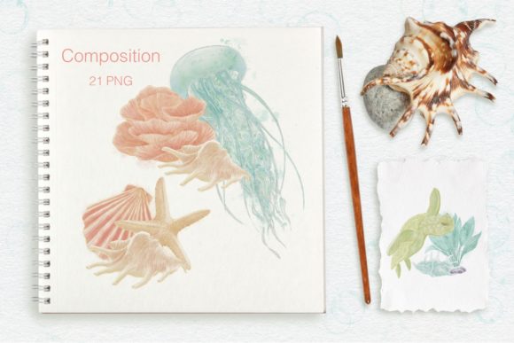 Set Compositions Ocean and Seashells