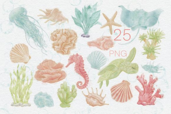 Set Illustrations Ocean and Seashells: A Versatile Resource for Creative Projects