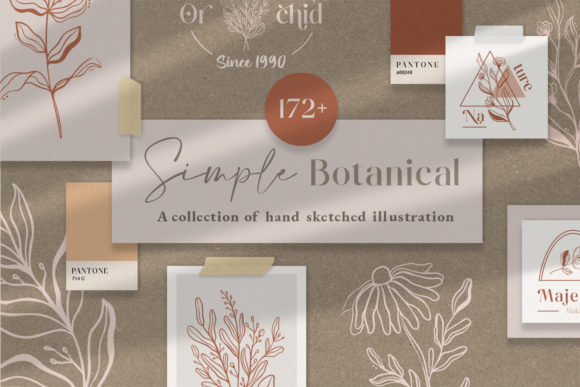 Simple Botanical Line Art Flowers